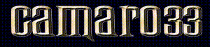 camaro33